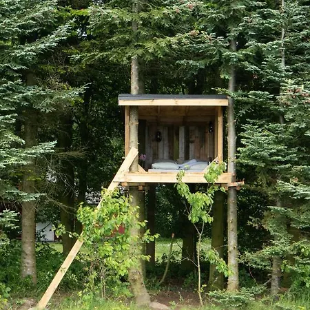 Tree Top Shelter *