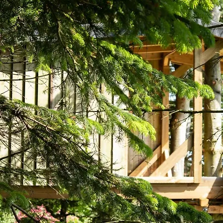 Tree Top Shelter 럭셔리텐트 Brædstrup