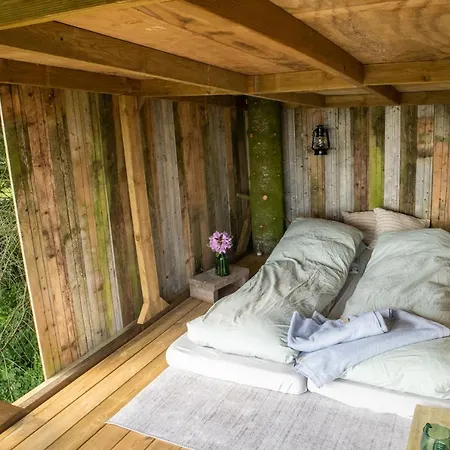 Tree Top Shelter *