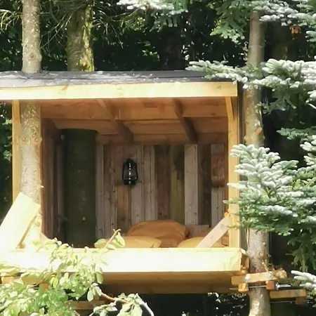 럭셔리텐트 Tree Top Shelter