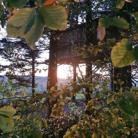 Tree Top Shelter * Brædstrup